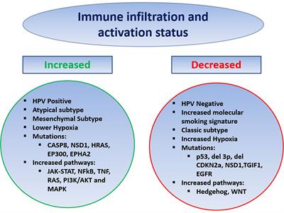 Immunotherapy in Recurrent/Metastatic Squamous Cell Carcinoma of the Head and Neck